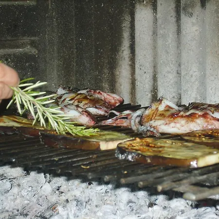 Апартаменты Iva *