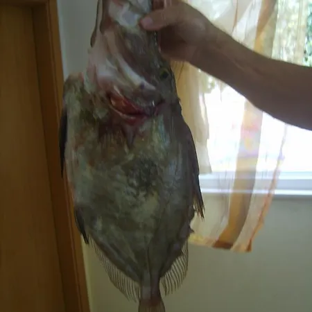 Апартаменты Iva Трогир