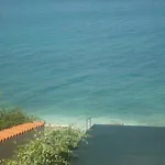Iva 特罗吉尔