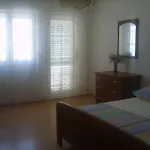 Iva 特罗吉尔