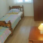 Iva 特罗吉尔