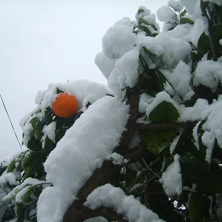 Iva Διαμέρισμα