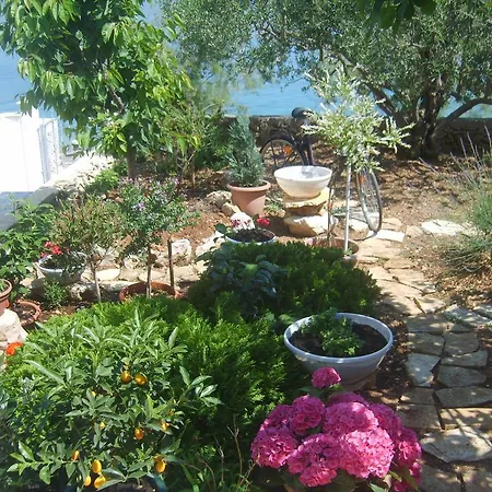 Iva Διαμέρισμα Τρογκίρ