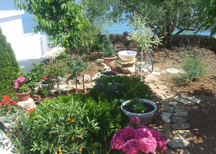 Iva Διαμέρισμα Τρογκίρ