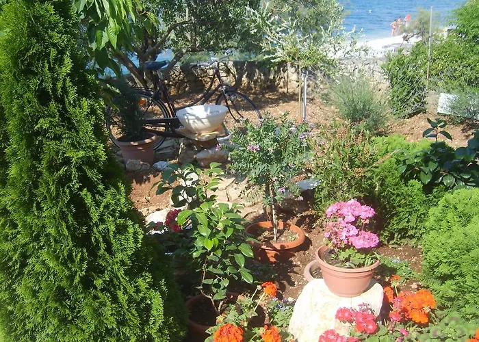 Iva Appartement