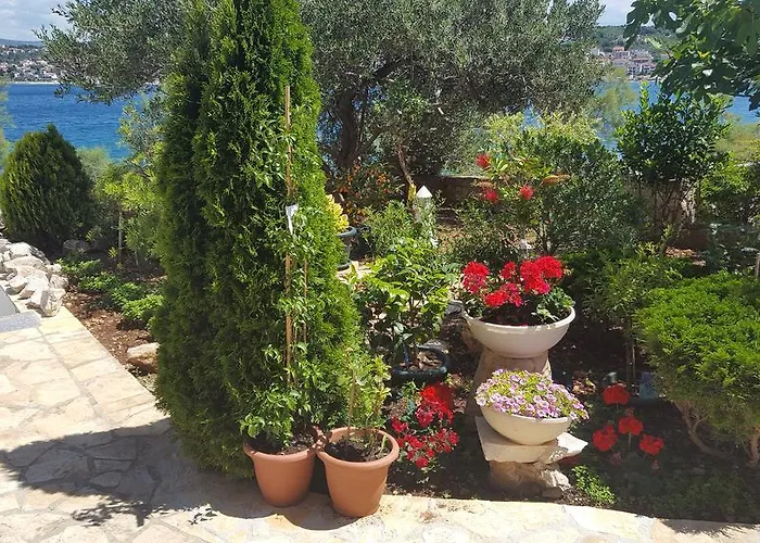 Iva Trogir
