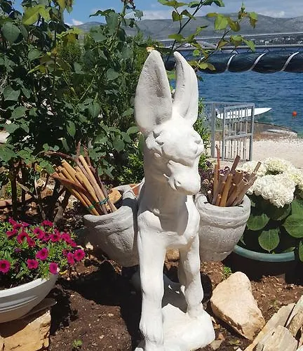 Διαμέρισμα Iva